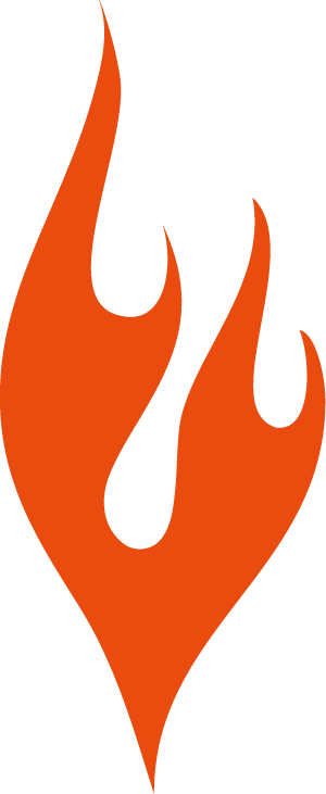 flame orange logo