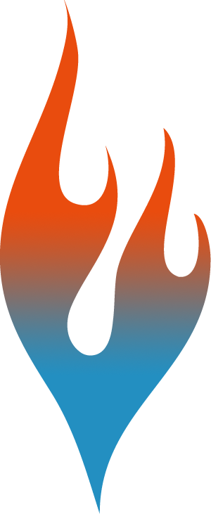 color-display logo