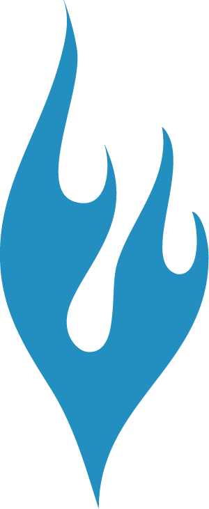 firefly guitar pick logo